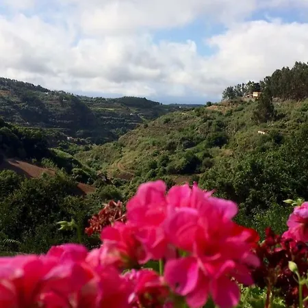 Bella Doramas Panchita & Millo بيت للعطل Moya (Gran Canaria)